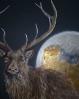 Moonlit stag SOLD