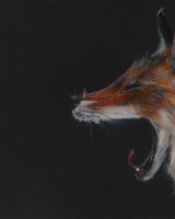 Yawning fox SOLD