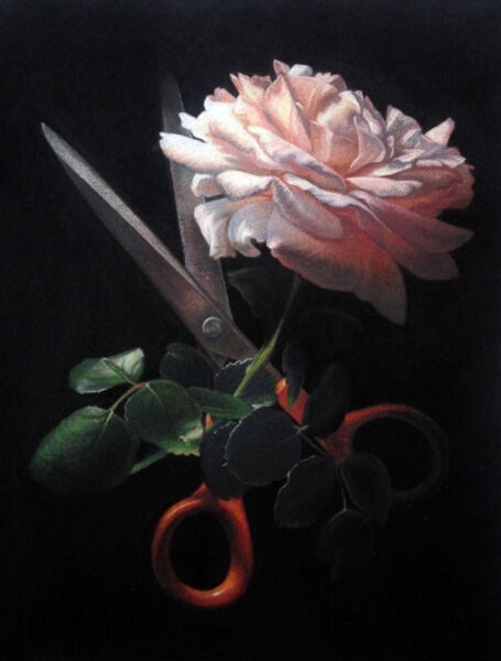 'The Scissors and The Rose'