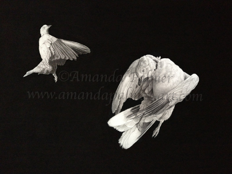 'Ascension'