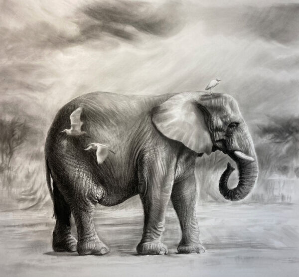 Elephant Of The Clouds