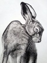 'March Hare' (Detail)