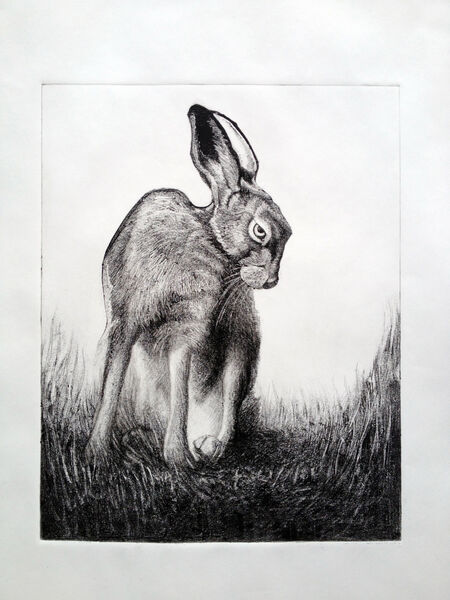 'March Hare'