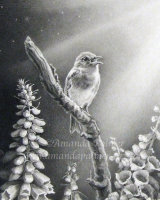 'The Robin, The Foxglove and The Star' (Detail)
