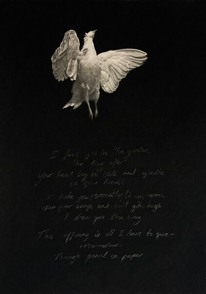 The Place Where Light And Dark Meet