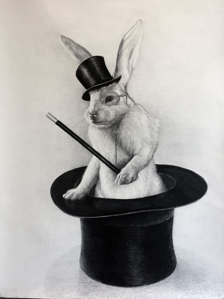 'The Rabbit and The Hat'