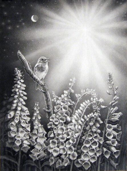 'The Robin, The Foxglove and The Star'