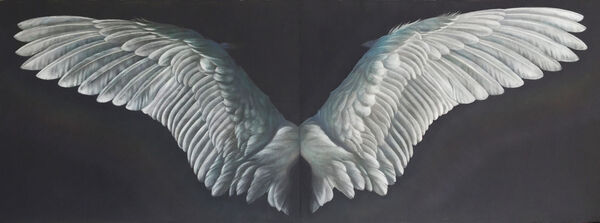 'Wings'