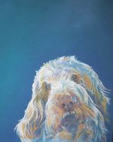 Angel of the Morning - SOLD
