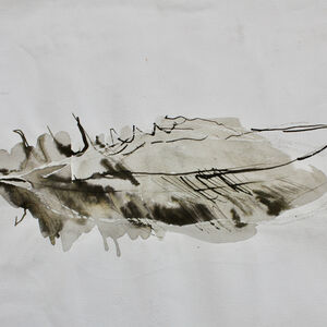Feather