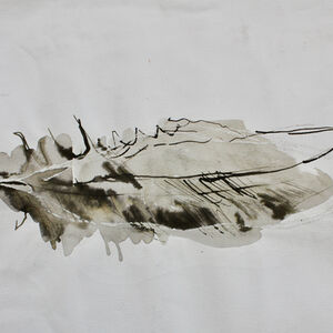 Feather