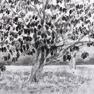 Cherry Tree