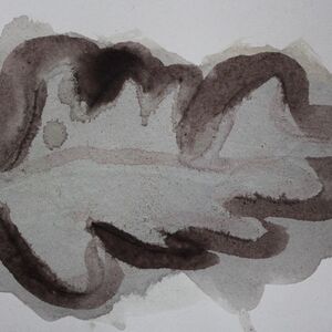 Buckthorn berry and Oak gall ink