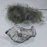Bird's Nest and Flint