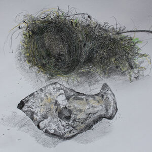 Bird's Nest and Flint