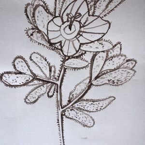 Fingered Speedwell