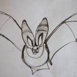 Grey Long-eared Bat