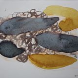 Rosehip, Sloe, Alder buckthorn bark and Oak gall ink