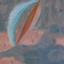 Shellflower