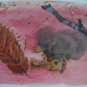 Sylvan 4
