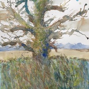 Ulcombe Oak