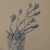 Carnations in Blue