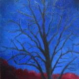 December Tree ©