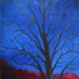 December Tree ©