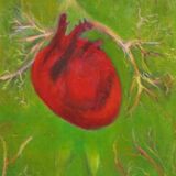 Heart and lungs (meeting) ©.