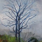 January Trees ©