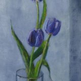 June Purple Tulips ©