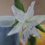 Lily Overhanging A Cup, ©.