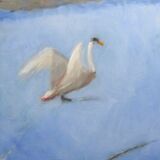 Swan on ice 19-02-21 ©