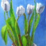 April White Tulips ©