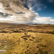 Moorland at Sullom Voe