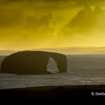 Dore Holm