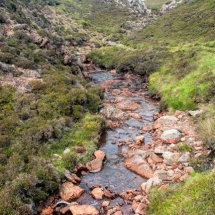 Burn at Muckle Roe