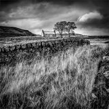 1st Abandoned - Tony Wright