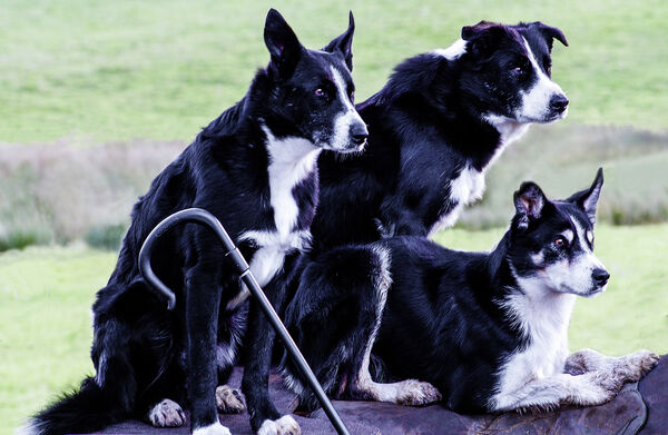 1st Concentration - Richard Poyer