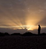 Knockout : January 2017