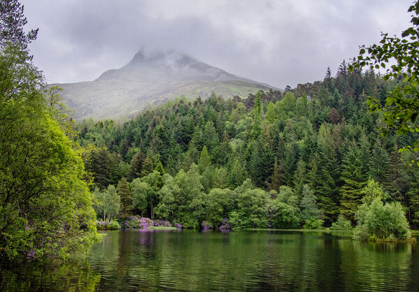 2nd Mist on the Mountain - Lynn Kerr