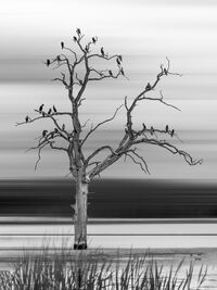 3rd A Moment - Andrew Steel