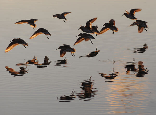 3rd On Golden Pond - Peter Burnham