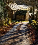 3rd Winter Light : Richard Poyer