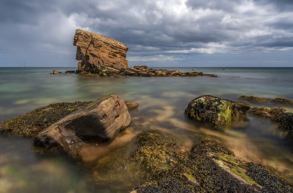 Com Charlies Garden - Graeme Pattison