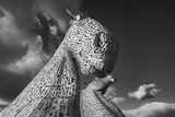 Com Kelpies - David Jackson