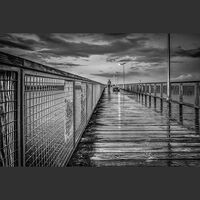 Com On Amble Pier - Tony Wright