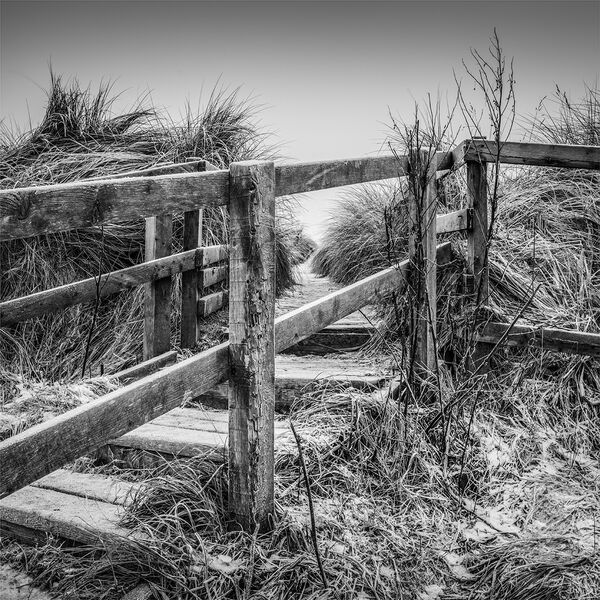 Com Through The Boardwalk - Tony Wright