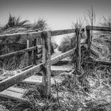 Com Through The Boardwalk - Tony Wright