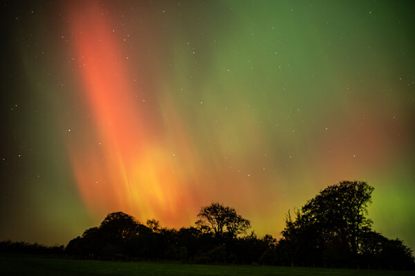 HC Aurora over the woods - Richard Booth